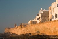 MOROCCO, Atlantic Coast, ESSAOUIRA: Town, Sunset Fine Art Print