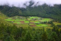 Houses and Farmlands, Gangtey Village, Bhutan Fine Art Print