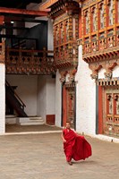 Monk at Punakha Dzong, Punakha, Bhutan Fine Art Print