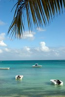 Mauritius, Grand Baie, Boats anchored in Grand Baie Fine Art Print