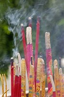 Incense burning, Big Wild Goose Pagoda, Xian, China Fine Art Print