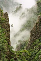 Mist on peaks and valleys, Grand Canyon, Mt. Huang Shan Fine Art Print