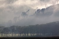 Mist rising from escarpment, Lake Nakuru National Park, Kenya Fine Art Print