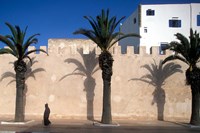 Man and Palm Shadows on Walled Medina, Essaouira, Morocco Fine Art Print