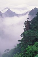 Landscape of Mt Huangshan in Mist, China Fine Art Print