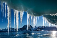 Icicle hangs from melting iceberg by Petermann Island, Antarctica. Fine Art Print