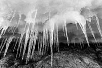 Icicles hang from an ice roof, Cuverville Island, Antarctica. Fine Art Print