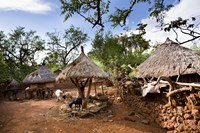 Konso village, Rift Valley, family compound, Ethiopia, Africa Fine Art Print