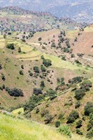 Landscape in Tigray, Northern Ethiopia Fine Art Print