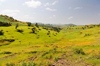 Landscape, Gonder and Lake Tana, Ethiopia Fine Art Print