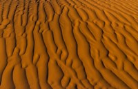 Natural sand patterns, Sahara, Douz, Tunisi, Africa Fine Art Print