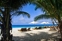 Private beach, Anse Bambous Beach, Seychelles Fine Art Print