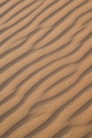MOROCCO, Tafilalt, Erg Chebbi Dunes, Sand pattern Fine Art Print