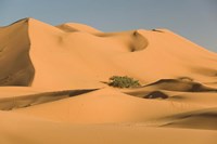 MOROCCO, Tafilalt, MERZOUGA: Erg Chebbi Desert Fine Art Print