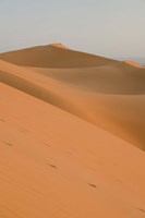 Erg Chebbi Dunes, Morocco Fine Art Print