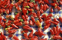 Red Peppers Drying in the Sun, Tunisia by Michele Molinari - various sizes