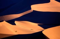 Red Sand Dunes in Namib Desert, Namib Naukluft National Park, Namibia Fine Art Print
