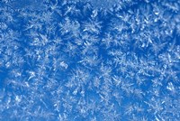 Pattern of Winter Frost on Glass by Mark Gibson - various sizes