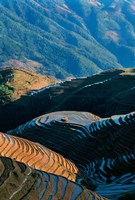Mountainside Rice Terraces, China Fine Art Print