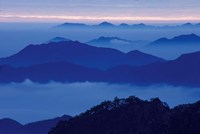 Mt Huangshan (Yellow Mountain) in Mist, China Fine Art Print