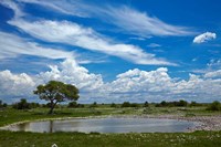 Okaukuejo waterhole, Etosha National Park, Namibia Fine Art Print