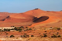 Sand dune at Sossusvlei, Namib-Naukluft National Park, Namibia Fine Art Print