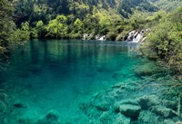 Shuzheng Lake, Jiuzhaigou National Scenic Area, Sichuan Province, China Fine Art Print