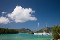 Seychelles, Praslin Island, Baie St. Anne bay Fine Art Print