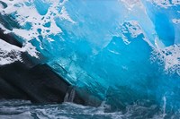 South Georgia Island, Iris Bay, Herz Glacier ice Fine Art Print