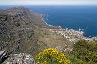 South Africa, Cape Town, Table Mountain, Cape Peninsula Fine Art Print