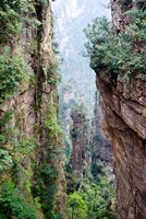 Stone Spires, Zhangjiajie National Forest Park, Hunnan, China Fine Art Print
