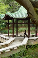 Tai Chi Chuan in the Chinese Garden Pavilion at Kowloon Park, Hong Kong, China Fine Art Print