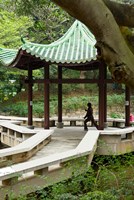 Tai Chi Chuan in the Chinese Garden Pavilion at Kowloon Park, Hong Kong, China by Charles Crust - various sizes