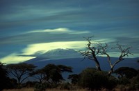 Summit of Mount Kilimanjaro, Amboseli National Park, Kenya Fine Art Print