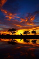 Sunrise, Okaukuejo Rest Camp, Etosha National Park, Namibia Fine Art Print