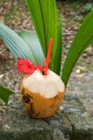 Tropical cocktail drink on Fregate Island, Seychelles Fine Art Print