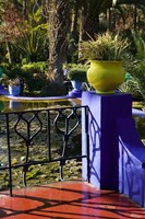 Villa Gardens, Jardin Majorelle and Museum of Islamic Art, Marrakech, Morocco Fine Art Print