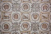 Tunisia, El Jem, El Jem Museum, Roman-era mosaic Fine Art Print