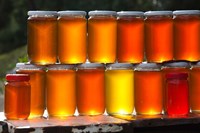 Tunisia, Nefza, local honey, agriculture Fine Art Print