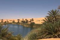 Umm El Ma Lake, Erg Awbari, Sahara Desert, Fezzan, Libya Fine Art Print