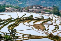 Village Beside Flooded Jiayin Terraces, Honghe County, Yunnan, China Fine Art Print