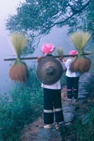 Zhuang Girls Carrying Hay, China Fine Art Print