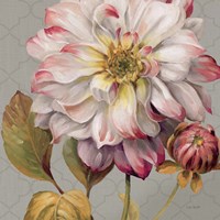 Classically Beautiful II Fine Art Print