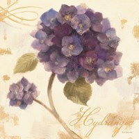 Abundant Hydrangea I Fine Art Print