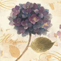 Abundant Hydrangea II Fine Art Print