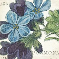 Blue Floral Fine Art Print