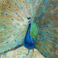 Blue Peacock on Gold Fine Art Print