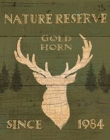 Lodge Signs IX Green Fine Art Print