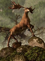 An Irish Elk stands proudly in a dense forest Fine Art Print