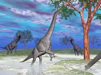 Brachiosaurus dinosaurs grazing on trees Fine Art Print